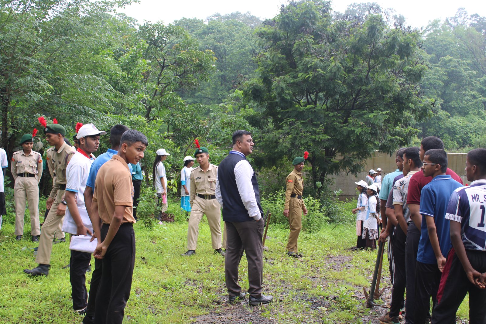 Tree Plantation 2026