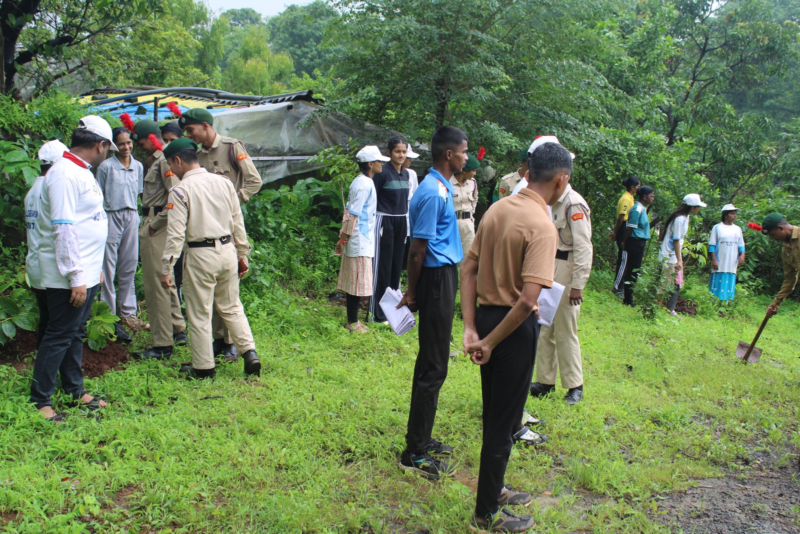 Tree Plantation 2026