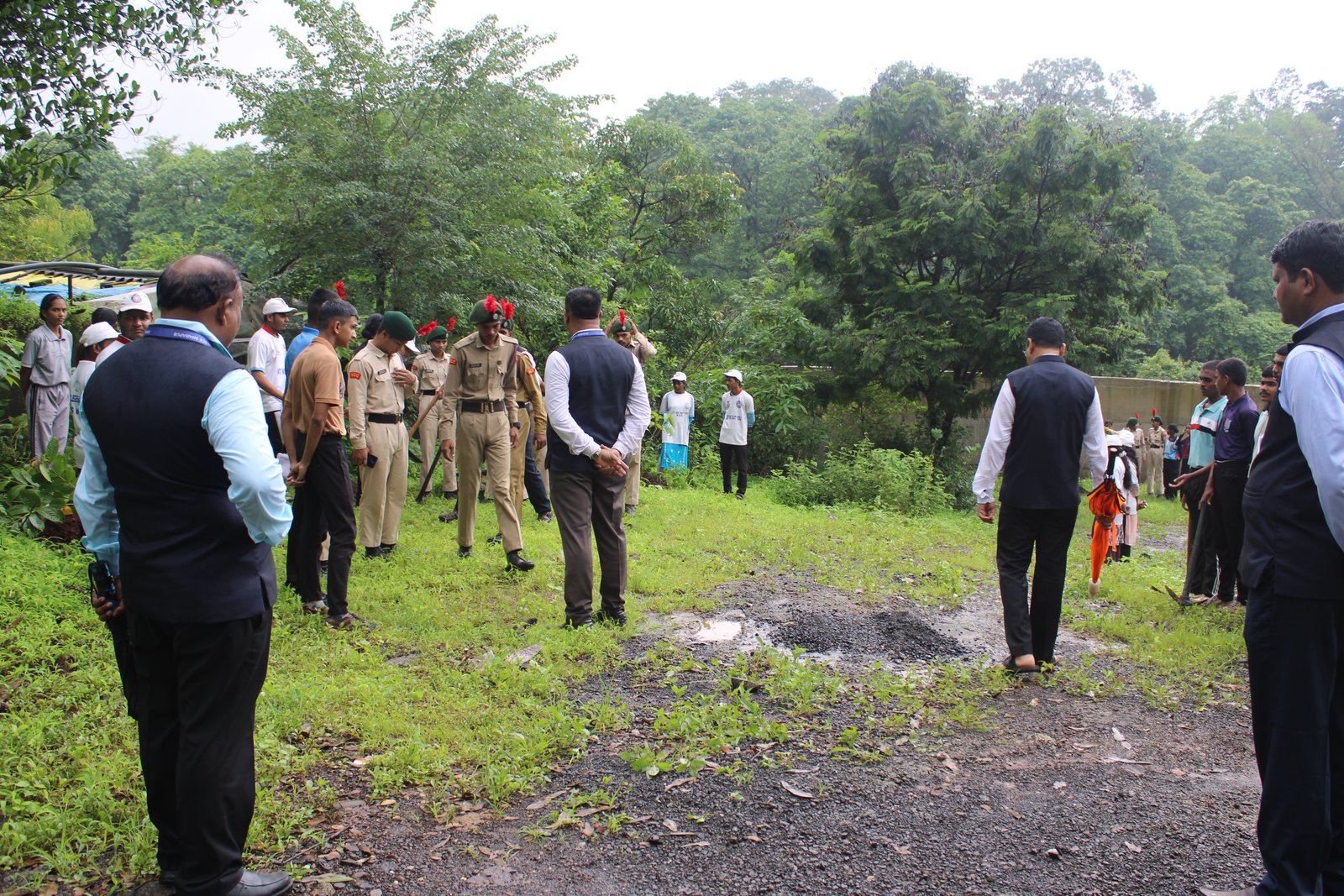 Tree Plantation 2026