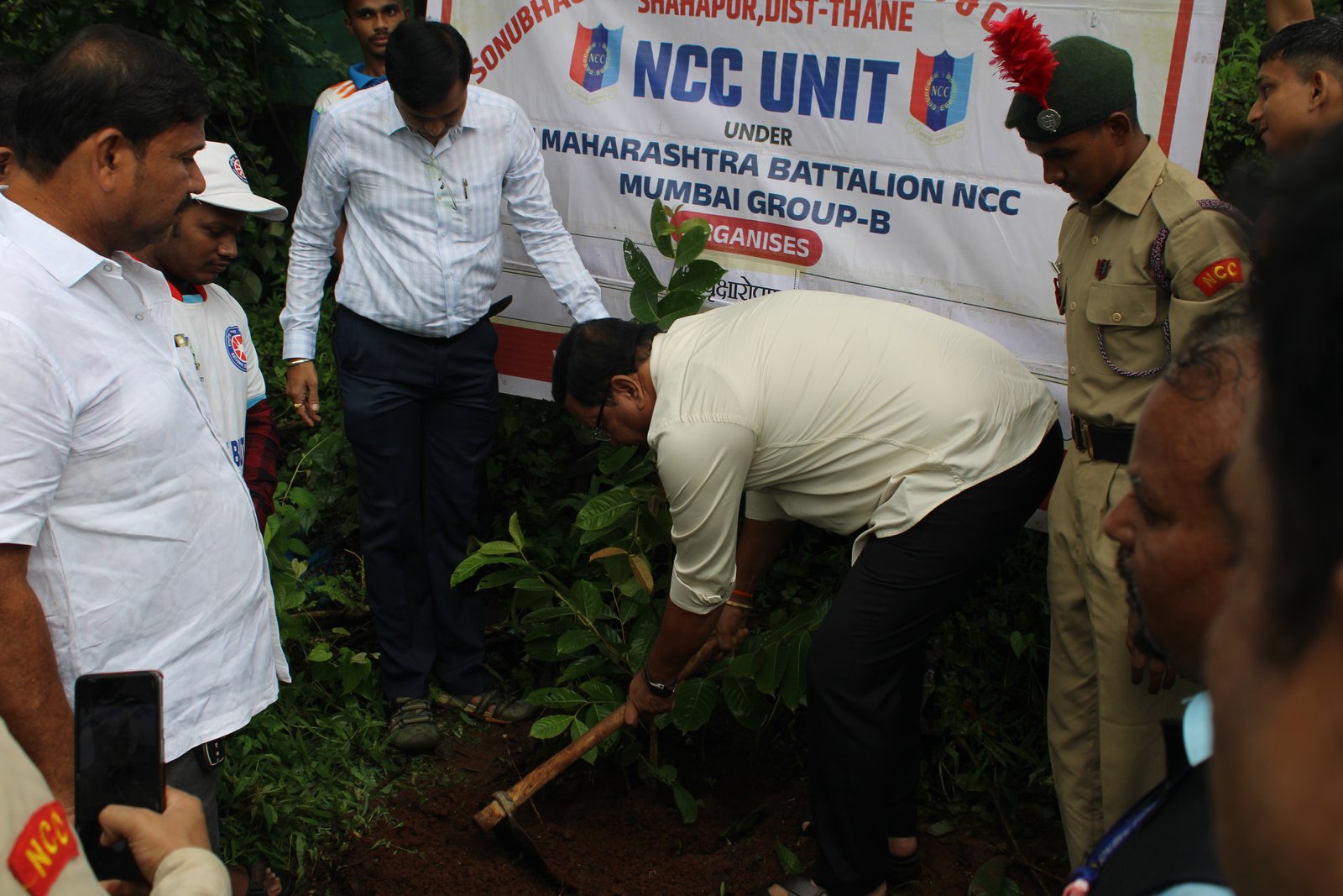 Tree Plantation 2026