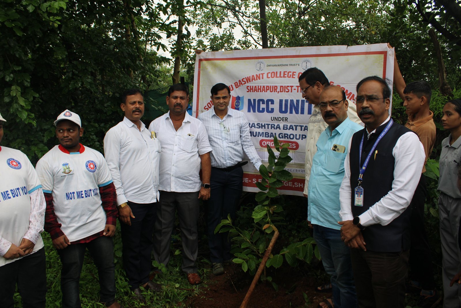 Tree Plantation 2026